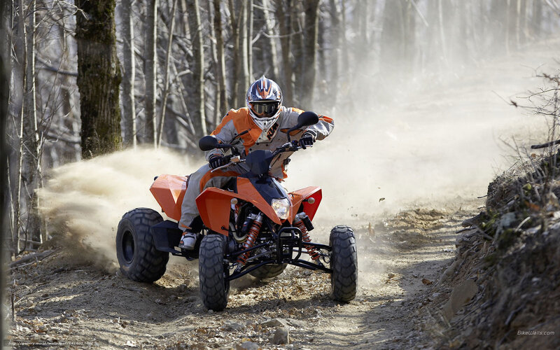 Person on Orange ATV — Dynamic, Autumn, Photograph, Dirt Path