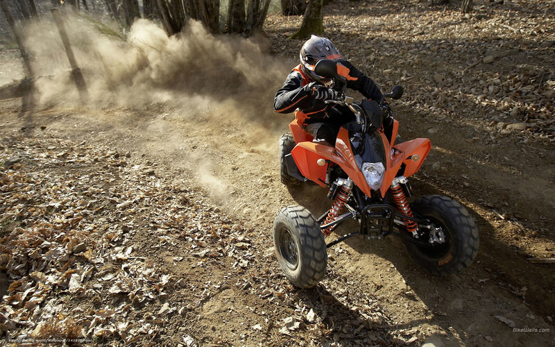 Person on Orange ATV — Dynamic, Autumn, Photograph