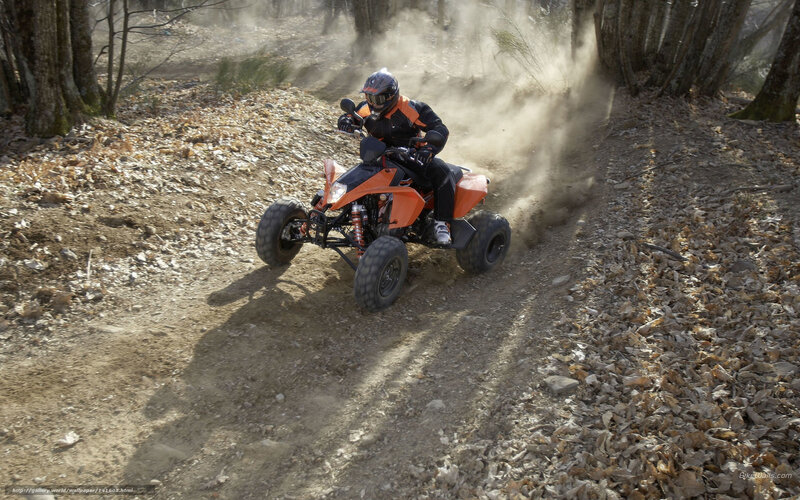 Person on Orange ATV — Dynamic, Autumn