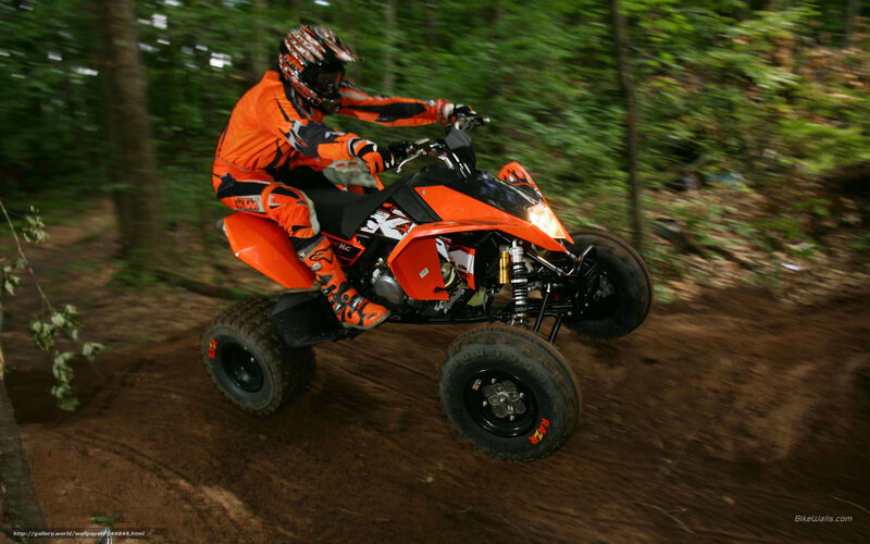 Person on Orange ATV — Dynamic, Photograph, Forest