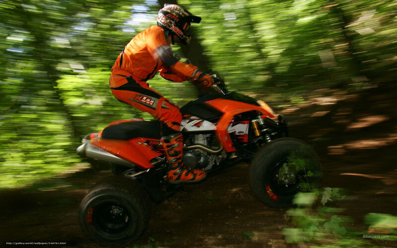 Person on Orange ATV — Dynamic