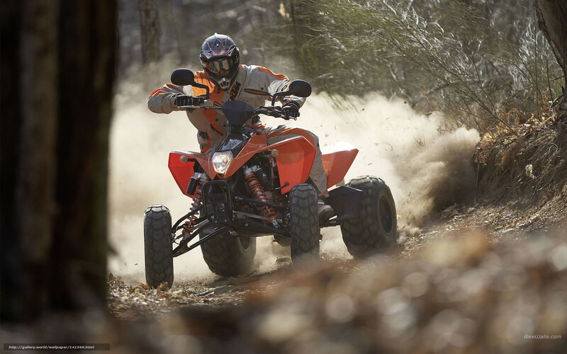 Person on Orange ATV