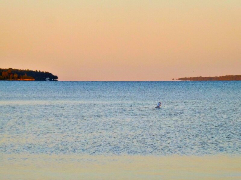 Person on Paddleboard — Blue, Serene