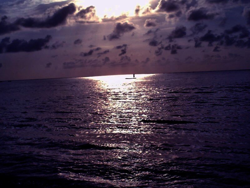 Person on Paddleboard — Purple