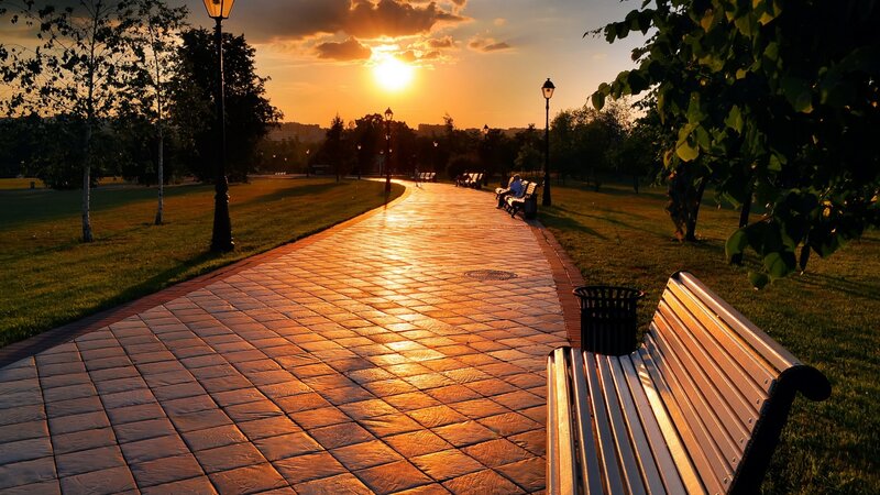 Person on Park Bench — Orange