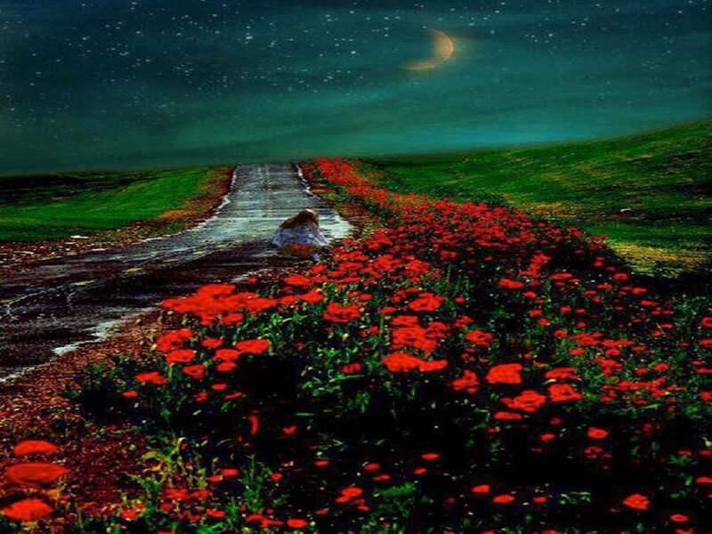 Person on Path with Flowers