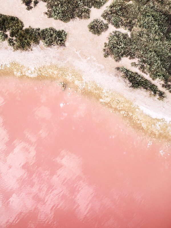 Person on Pink Lake Shore