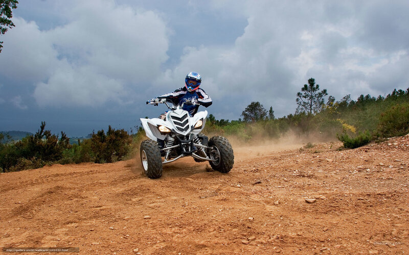 Person on Quad Bike — Brown