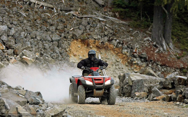 Person on Red ATV — Action