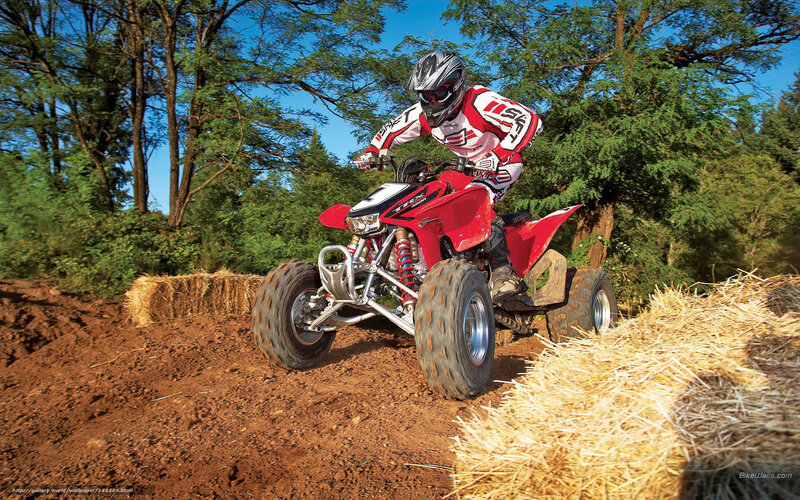 Person on Red ATV — Active, Afternoon, Photograph