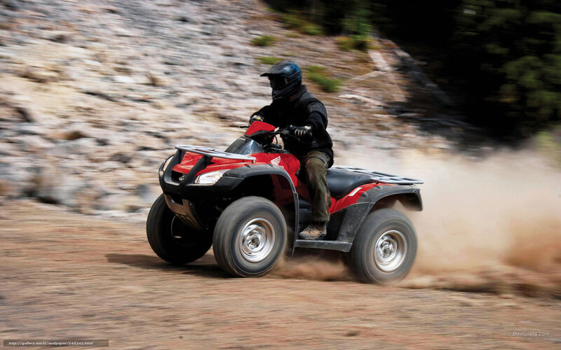 Person on Red ATV — Dynamic
