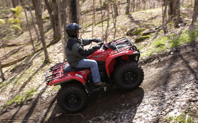 Person on Red ATV — Outdoor