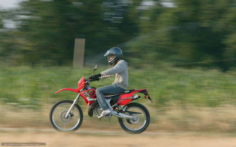 Person on Red Motorcycle — Dynamic
