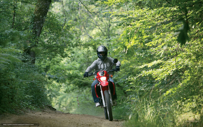 Person on Red Motorcycle — Green