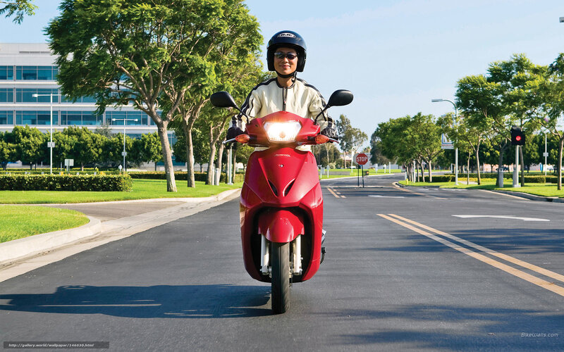 Person on Red Scooter — Calm
