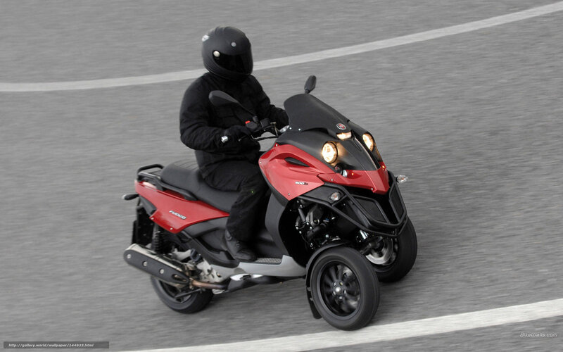 Person on Red Scooter — Dynamic