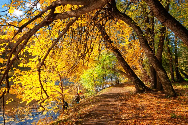 Person on Riverbank — Yellow