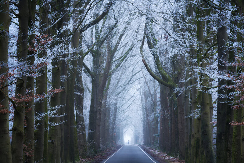 Person on Road in Forest