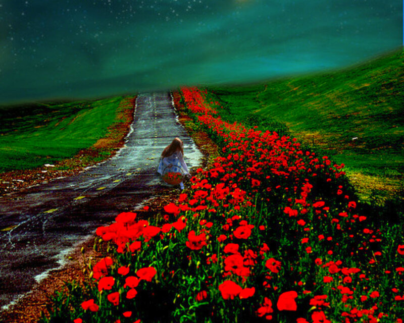 Person on Road with Poppies