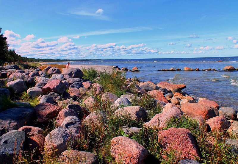 Person on Rocky Beach — Blue, Serene, Afternoon