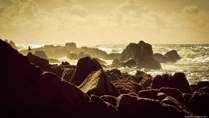 Person on Rocky Shore — Brown, Dramatic, Sunset