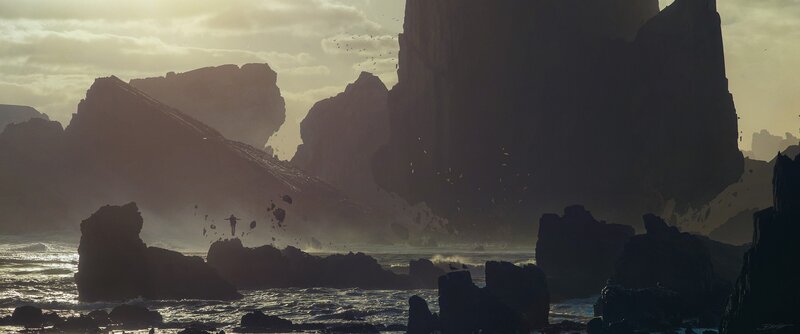 Person on Rocky Shore — Brown