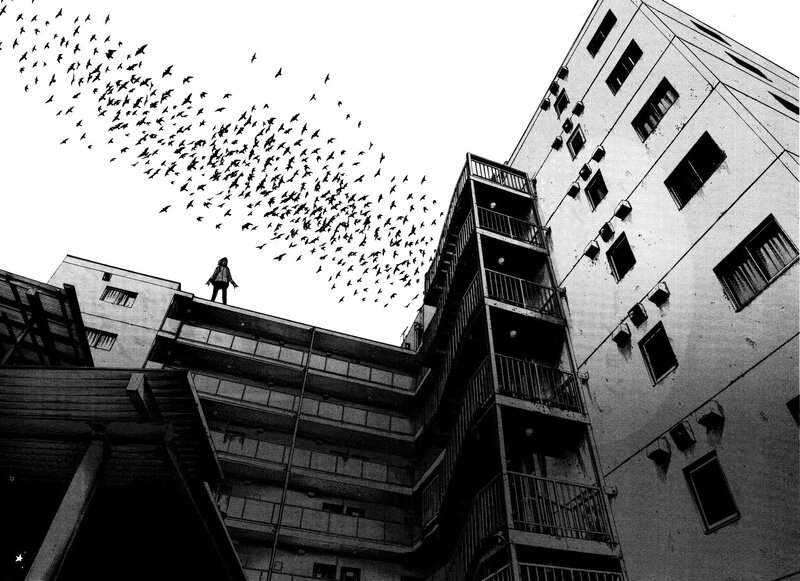 Person on Rooftop with Birds
