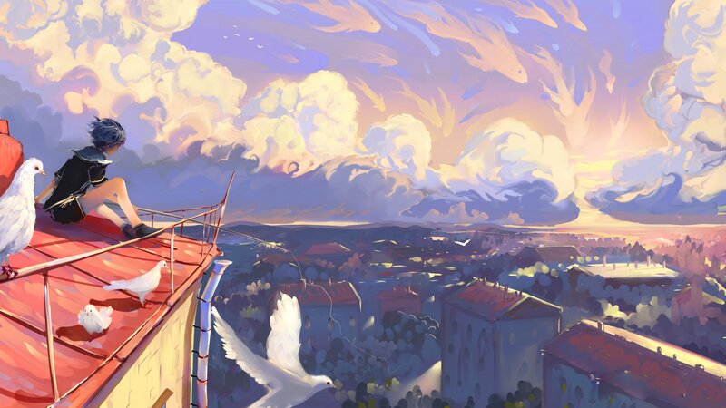 Person on Rooftop with Pigeons