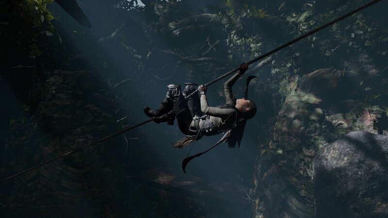 Person on Rope in Jungle