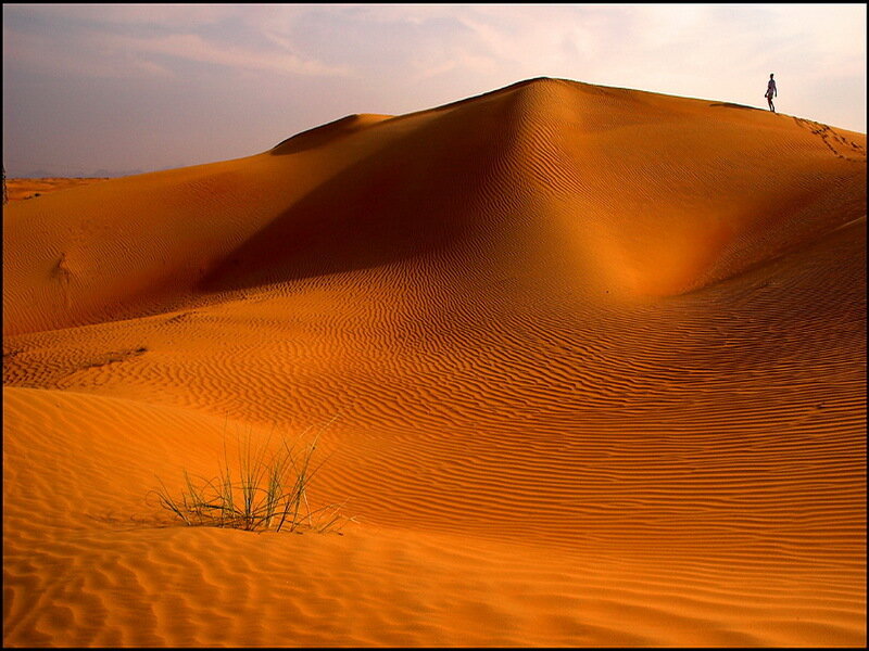 Person on Sand Dune — Orange