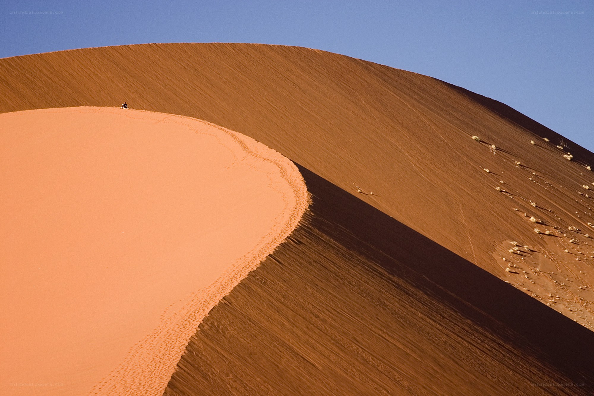 Person on sand dune