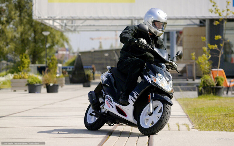 Person on Scooter — Black, Calm