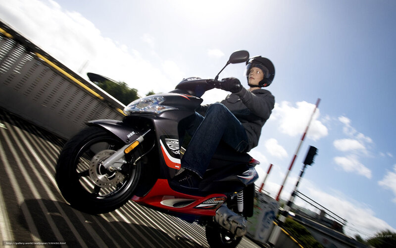 Person on Scooter — Black, Dynamic