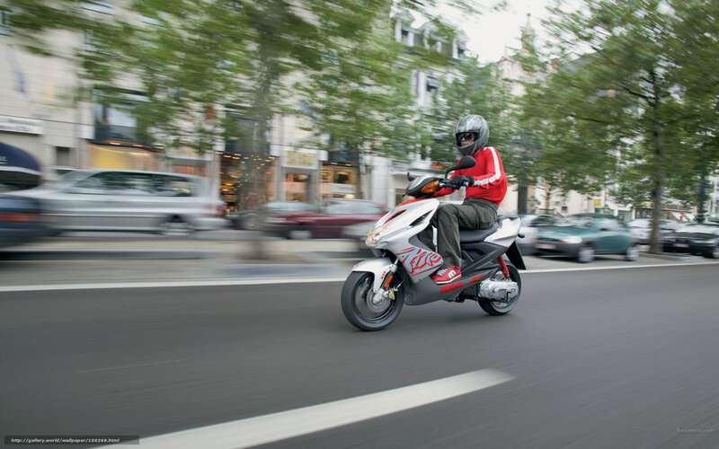 Person on Scooter — Silver, Dynamic, Afternoon