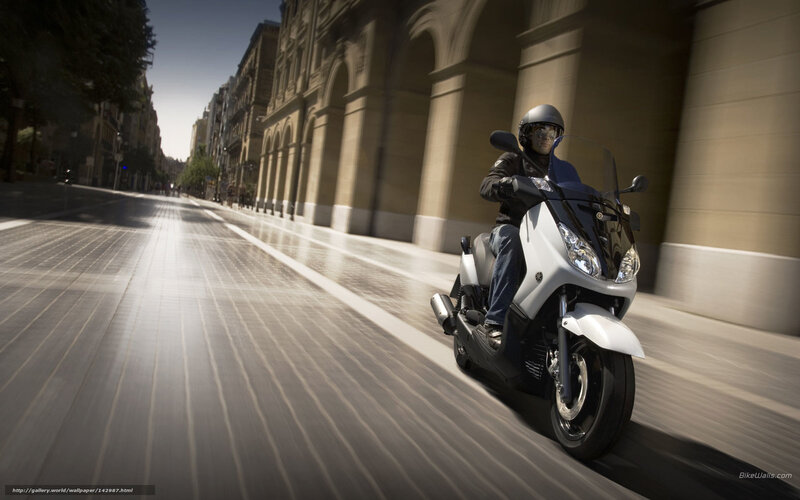 Person on Scooter