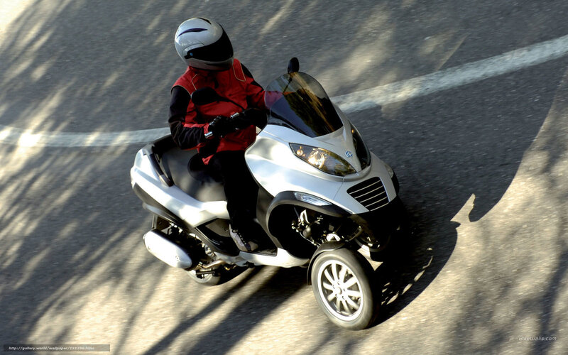Person on Silver Scooter — Dynamic