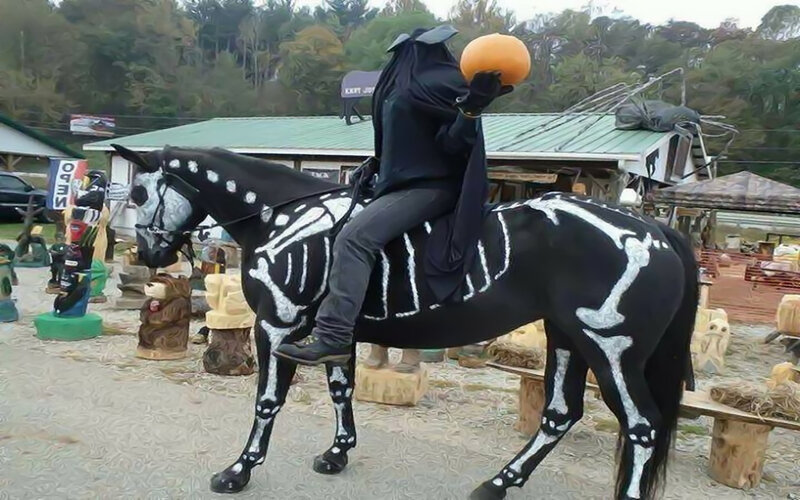 Person on Skeleton Horse