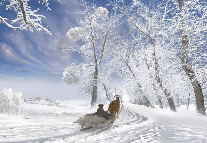 Person on Sleigh