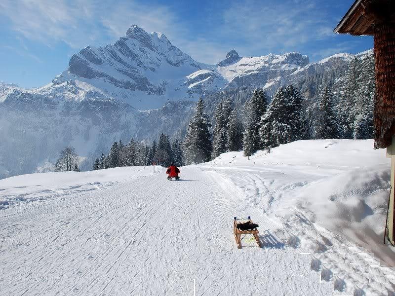 Person on Snowmobile — White, Serene