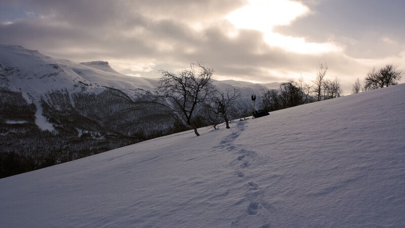 Person on Snowy Hill