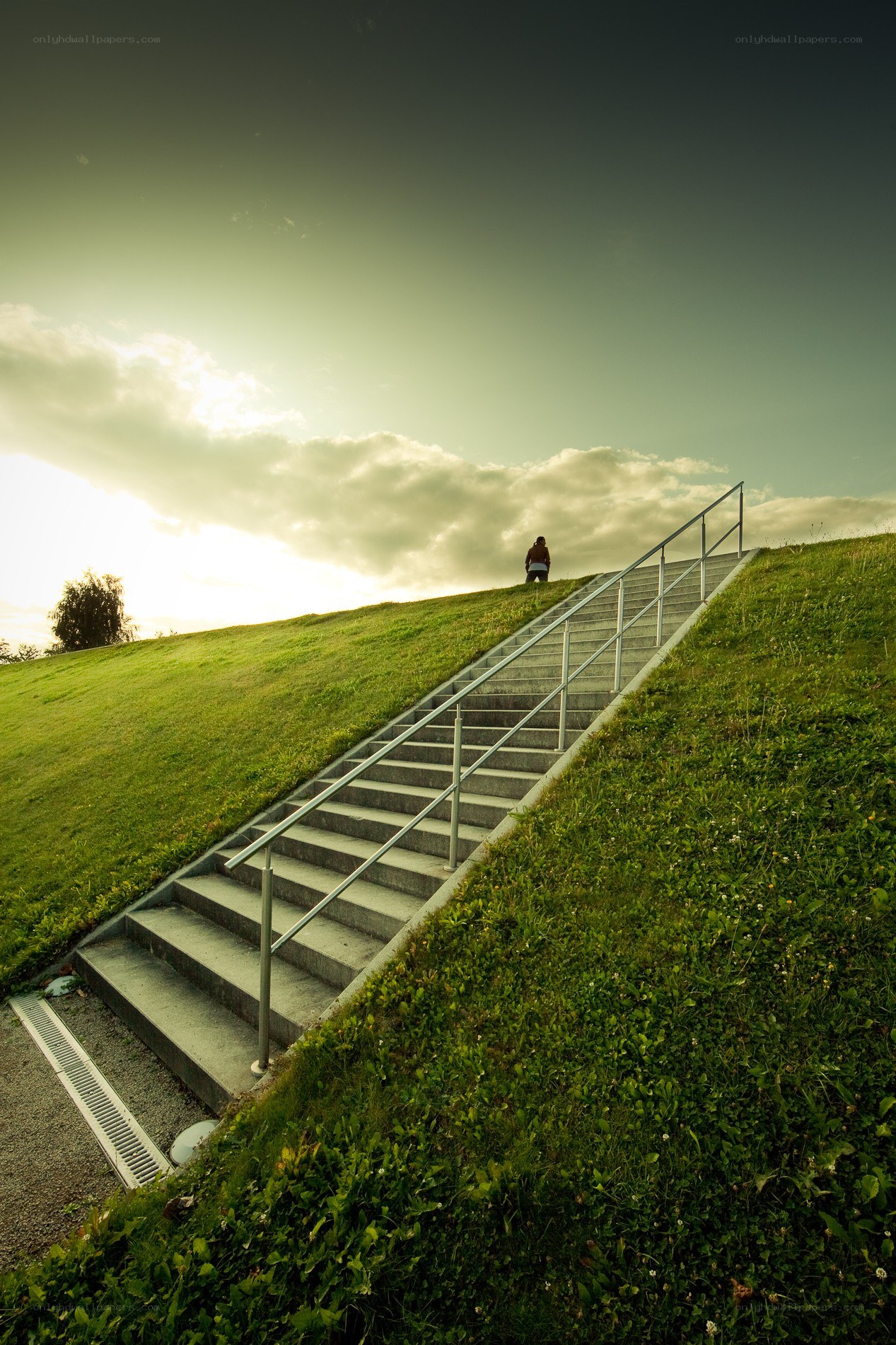 Person on stairs at sunset