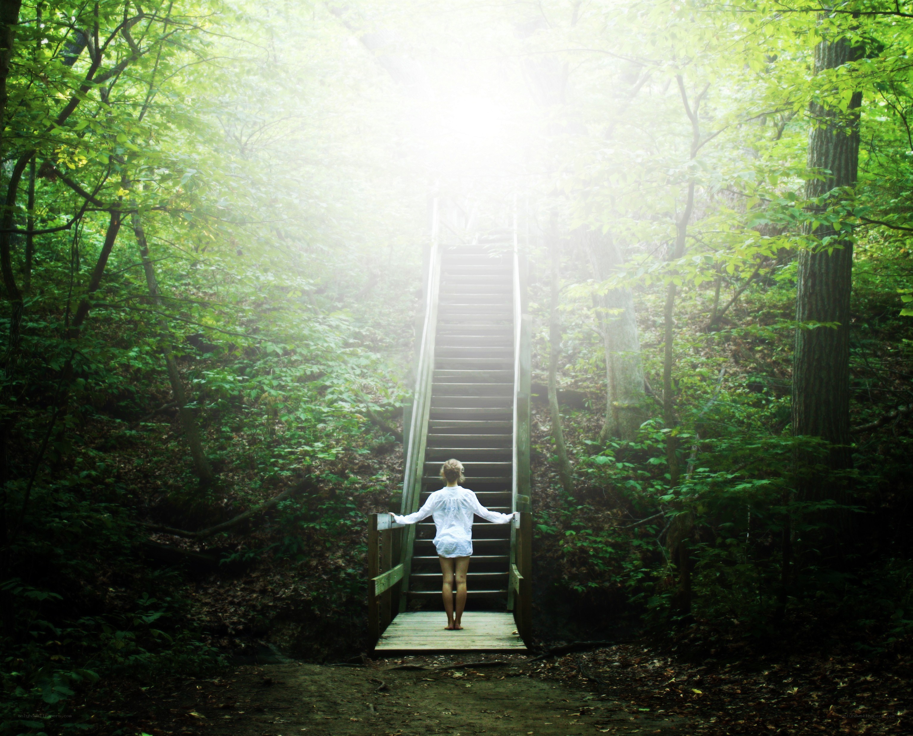 Person on stairs in forest