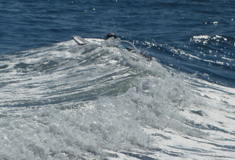 Person on Surfboard — Blue, Active