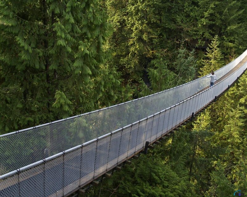 Person on Suspension Bridge — Green