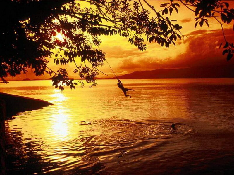 Person on Swing over Water