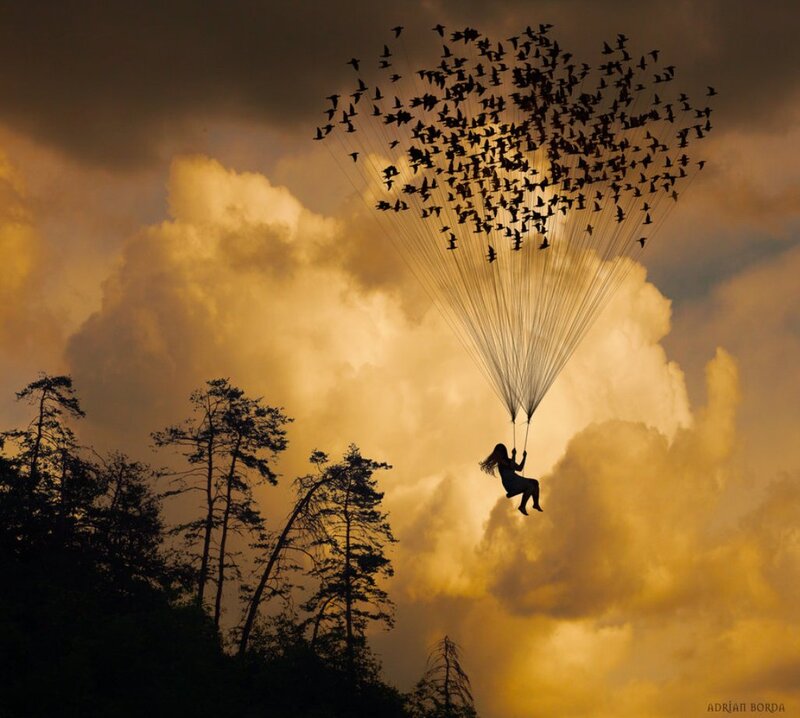 Person on Swing with Birds