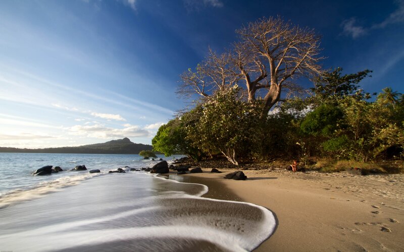 Person on Tropical Beach — Blue, Serene, Afternoon, Photograph, Tree