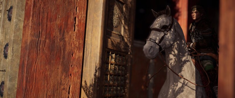Person on White Horse — Brown, Dramatic