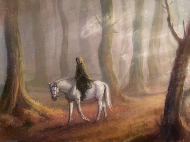 Person on White Horse — Brown