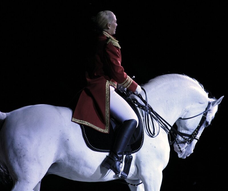 Person on White Horse